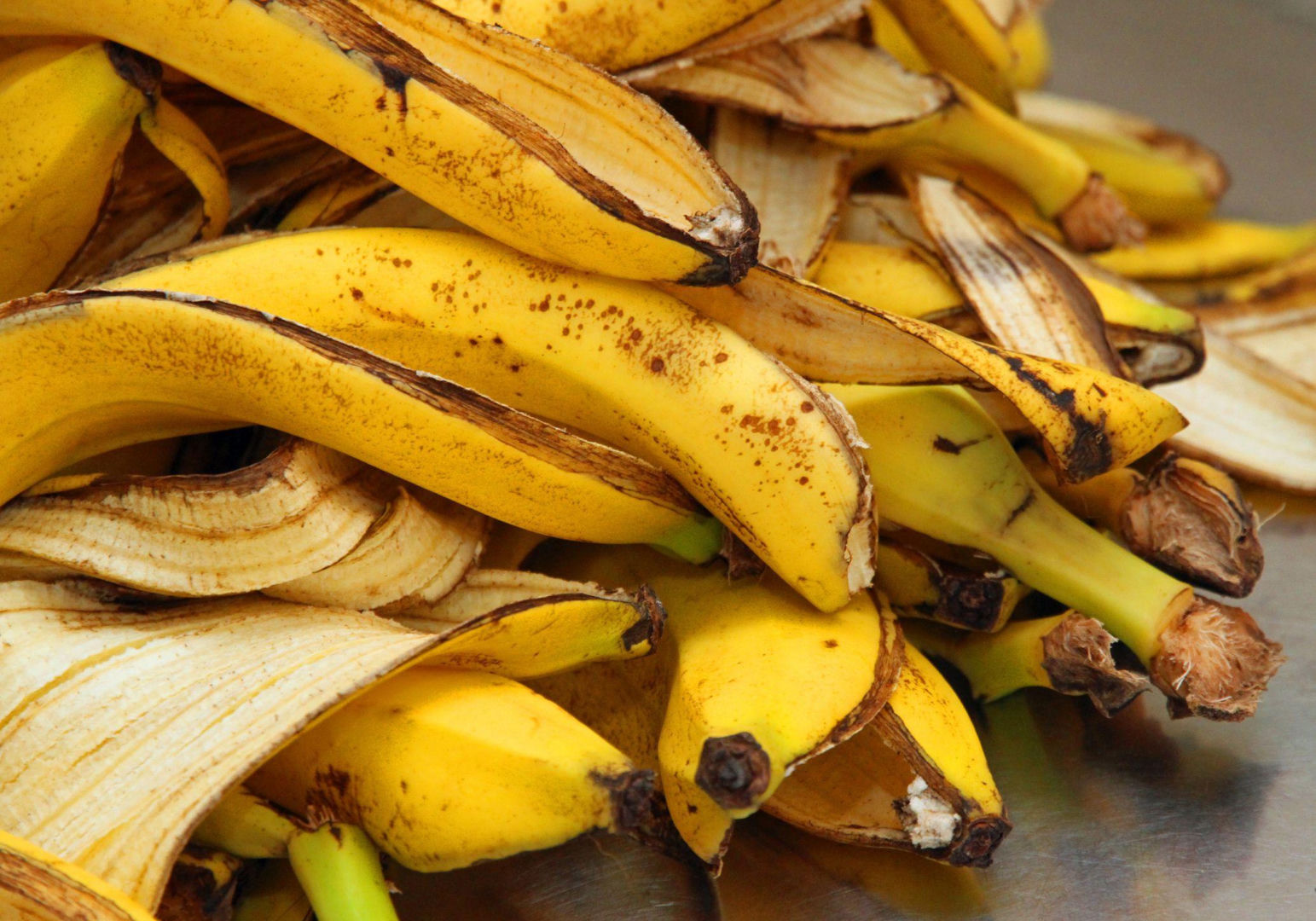 Nawóz ze skórek banana – prosty przepis na organiczny dodatek do roślin ...