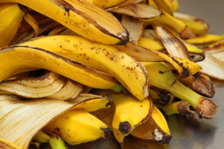 Nie wyrzucaj skórek od banana. W ogrodzie działają cuda
