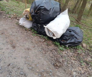 Wyrzucił worki pełne śmieci do lasu. Mieszkaniec gminy Lipno ukarany