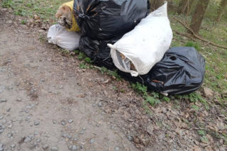 Wyrzucił worki pełne śmieci do lasu. Mieszkaniec gminy Lipno ukarany