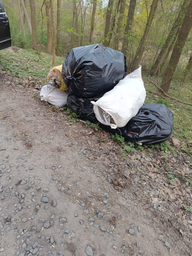 Wyrzucił worki pełne śmieci do lasu. Mieszkaniec gminy Lipno ukarany