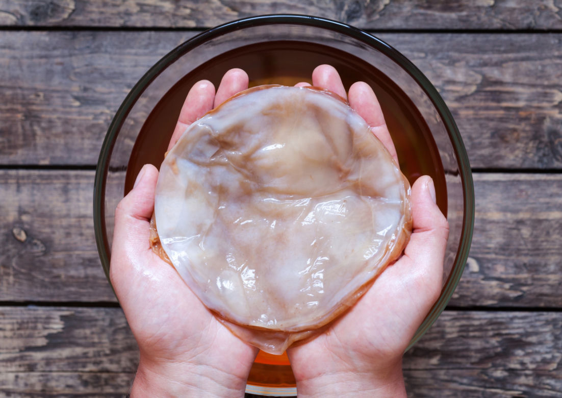 KOMBUCHA (kombucza) - właściwości grzyba herbacianego
