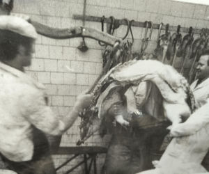 80 lat GS Samopomoc Chłopska Osieczna