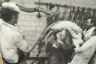 80 lat GS Samopomoc Chłopska Osieczna