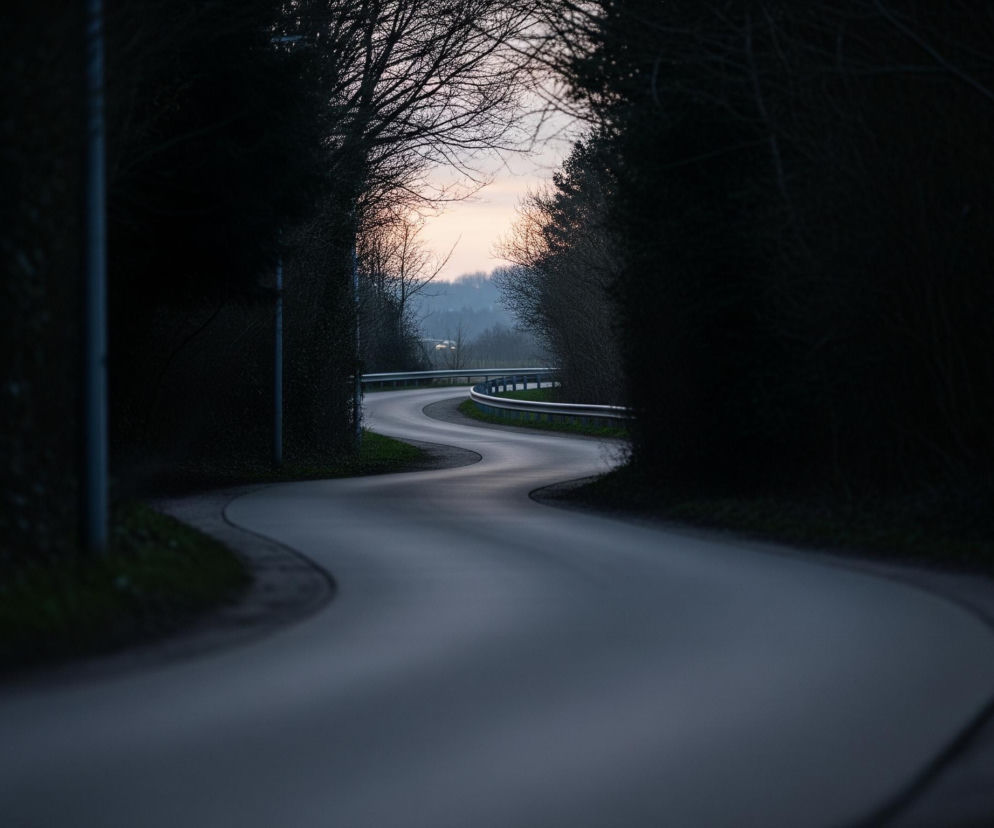 Kręta, asfaltowa droga biegnie przez środek kadru, z ciemnym poboczem po lewej stronie i metalową barierką ochronną po prawej, która prowadzi do dalszej części zakrętu. Drzewa bez liści tworzą ciemny, niemal czarny tunel po obu stronach drogi, z prześwitującym między nimi, jasnym niebem o zachodzie słońca w górnej części obrazu. Niebo przechodzi od jasnego różu i pomarańczu przy horyzoncie, do błękitu i szarości wyżej.