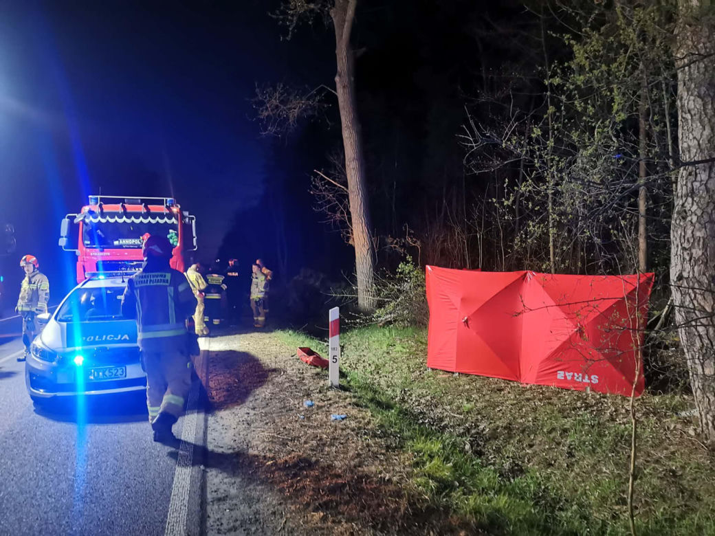 Nastolatek zginął w wypadku samochodowym w woj. lubelskim