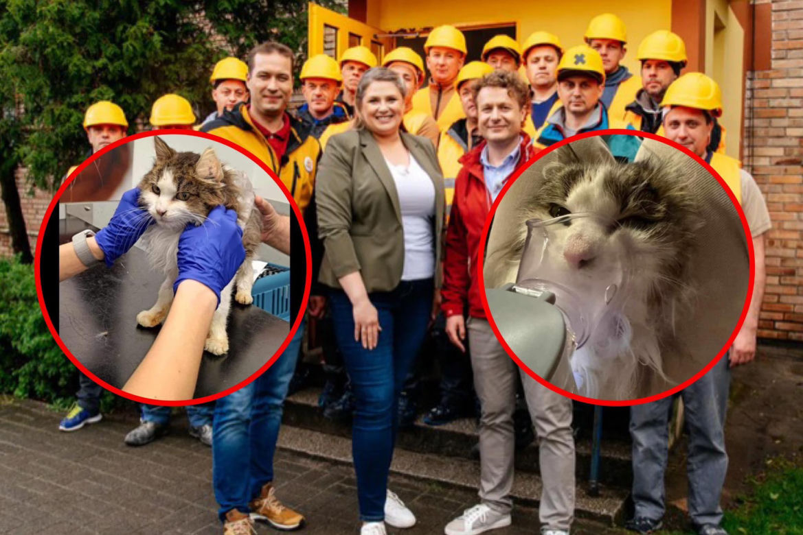 Skandal w "Nasz Nowy Dom". Zrobili z CHOREGO kota maskotkę show