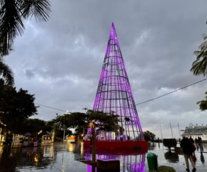 Boże Narodzenie na Maderze