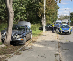 Kompletnie pijany kierowca Jagura uderzył w Audi i rozbił się na drzewie. Jedna osoba w szpitalu