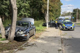 Kompletnie pijany kierowca Jagura uderzył w Audi i rozbił się na drzewie. Jedna osoba w szpitalu