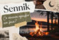 Sennik: ognisko we śnie. Co oznacza i jak je interpretować?