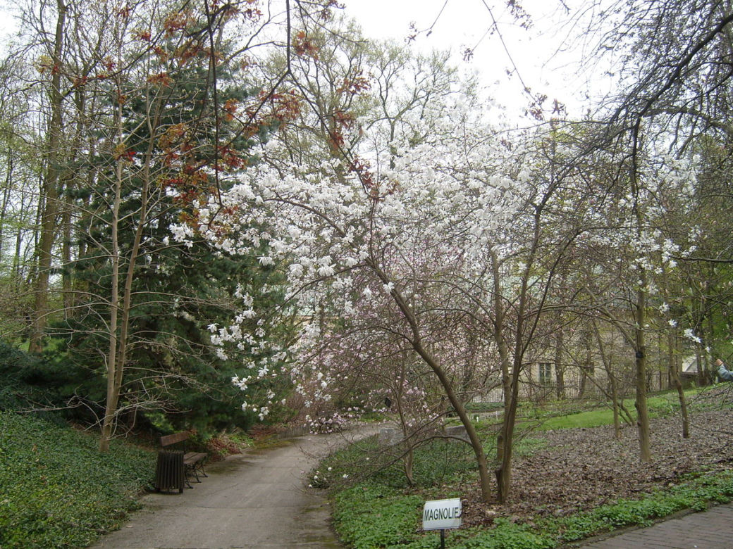7 najładniejszych ogrodów botanicznych w Polsce. Kiedy je odwiedzić i gdzie są?