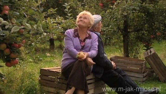 M jak MIŁOŚĆ odc. 974. Lucjan Mostowiak (Witold Pyrkosz), Barbara (Teresa Lipowska)