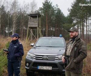 Śląskie: Coraz więcej przypadków kradzieży choinek z lasów. Będzie więcej patroli straży leśnej [ZDJĘCIA]