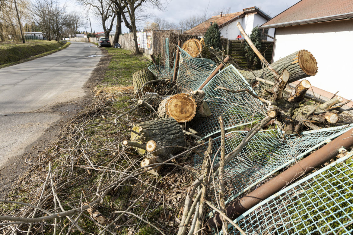 Wichura na Dolnym Śląsku. Uszkodzone dachy, powalone drzewa. Ponad 300 interwencji straży