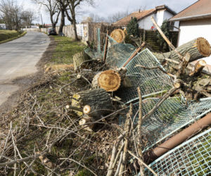 Wichura na Dolnym Śląsku. Uszkodzone dachy, powalone drzewa. Ponad 300 interwencji straży