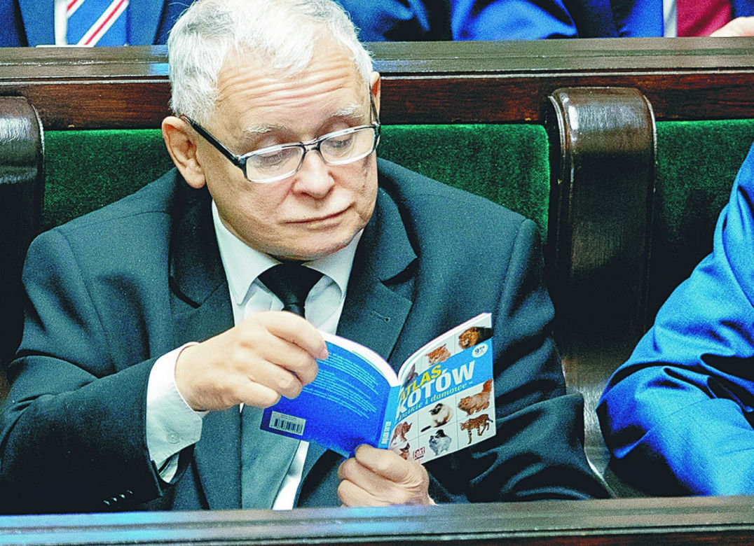  Jarosław Kaczyński