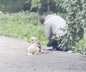 Bestialsko znęcała się nad psami. Po kopnięciu, zwierze wydał głośny pisk