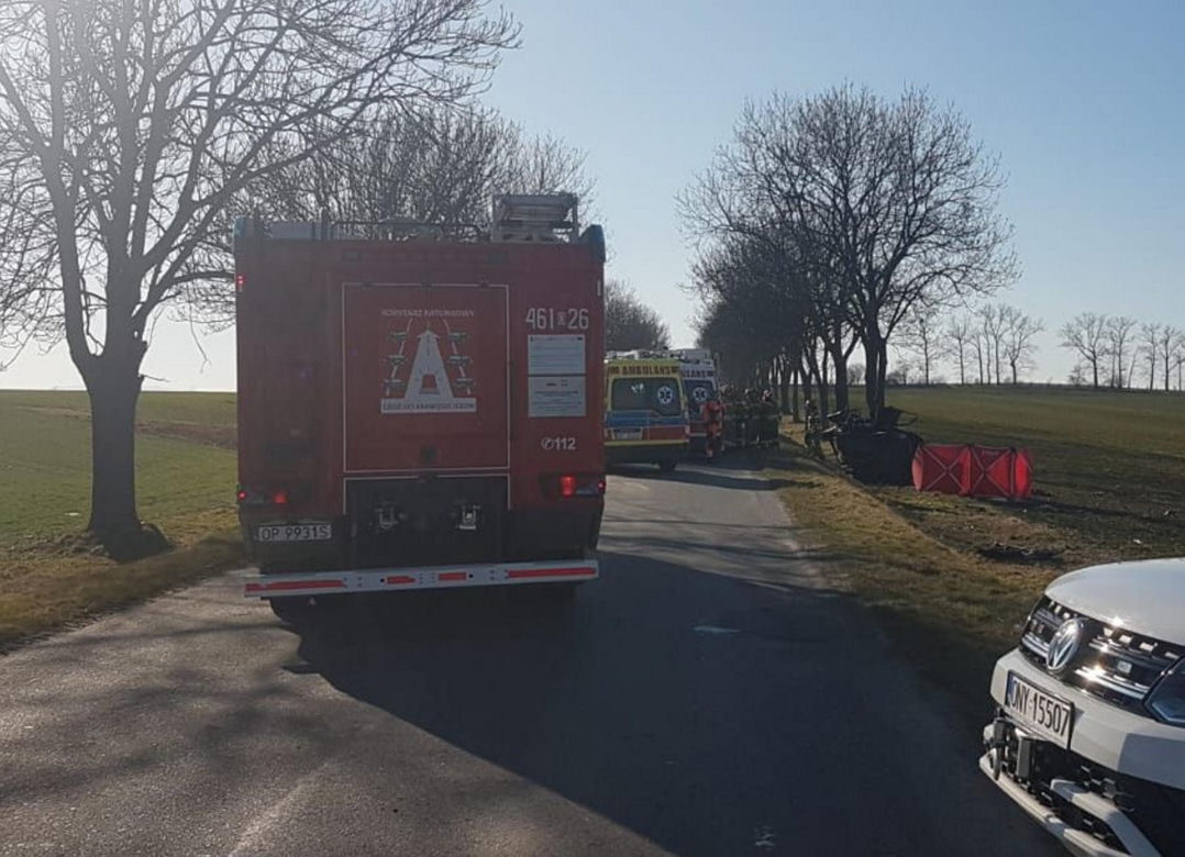 Śmiertelny wypadek pod Nysą. Cztery osoby zginęły po uderzeniu w drzewo