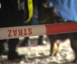 Martwy noworodek Łódź
