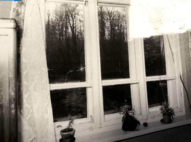 Makabryczna zbrodnia w Zwierzyńcu. Sprzedali dom za fortunę, dzień później zostali zamordowani