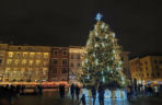 Choinka w Krakowie