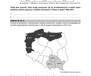 Matura próbna 2021: Geografia poziom rozszerzony. Zobacz arkusze CKE i odpowiedzi