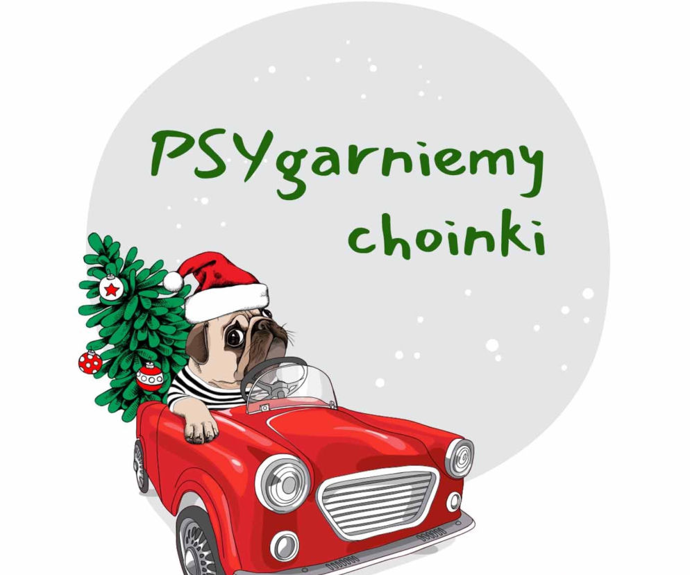 Schronisko w Bełchatowie PSYgarnie choinki. Drzewka służyć będą zwierzakom