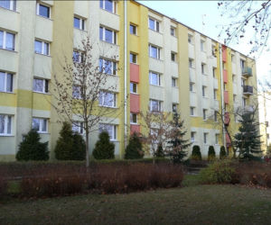 Ruszył proces w sprawie zabójstwa 20-latki z Pabianic