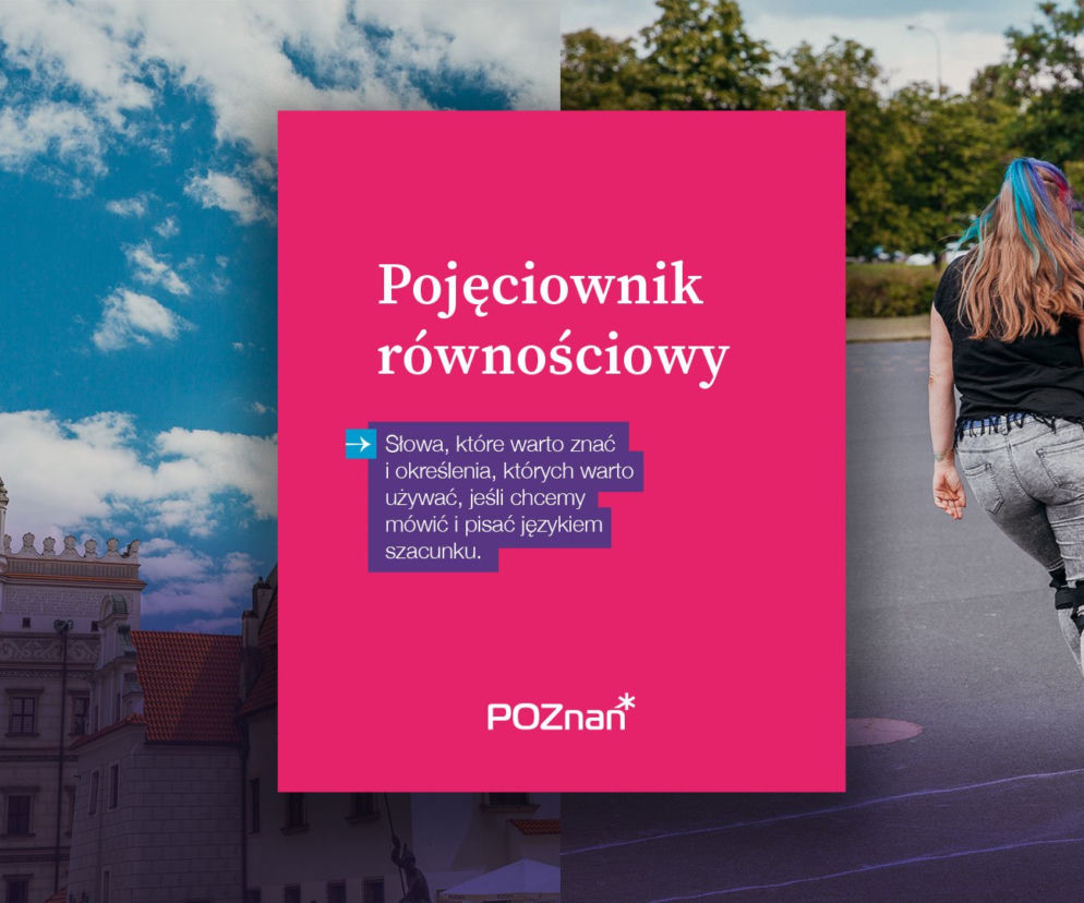 Pojęciownik równościowy 