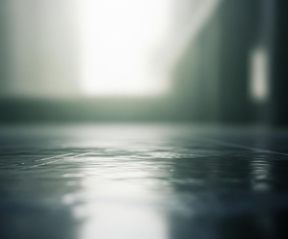 Na pierwszym planie widoczna jest mokra, błyszcząca powierzchnia podłogi, składająca się z ciemnych płytek z subtelnymi fugami, odbijająca światło. W centrum obrazu pojawia się jasne, rozmyte źródło światła, które rozświetla odległą część korytarza. Po bokach i w górnej części obrazu dominują ciemne, rozmyte cienie, tworzące kontrast z jasnym punktem. Całość tworzy głębię perspektywiczną, prowadząc wzrok ku centralnemu światłu.