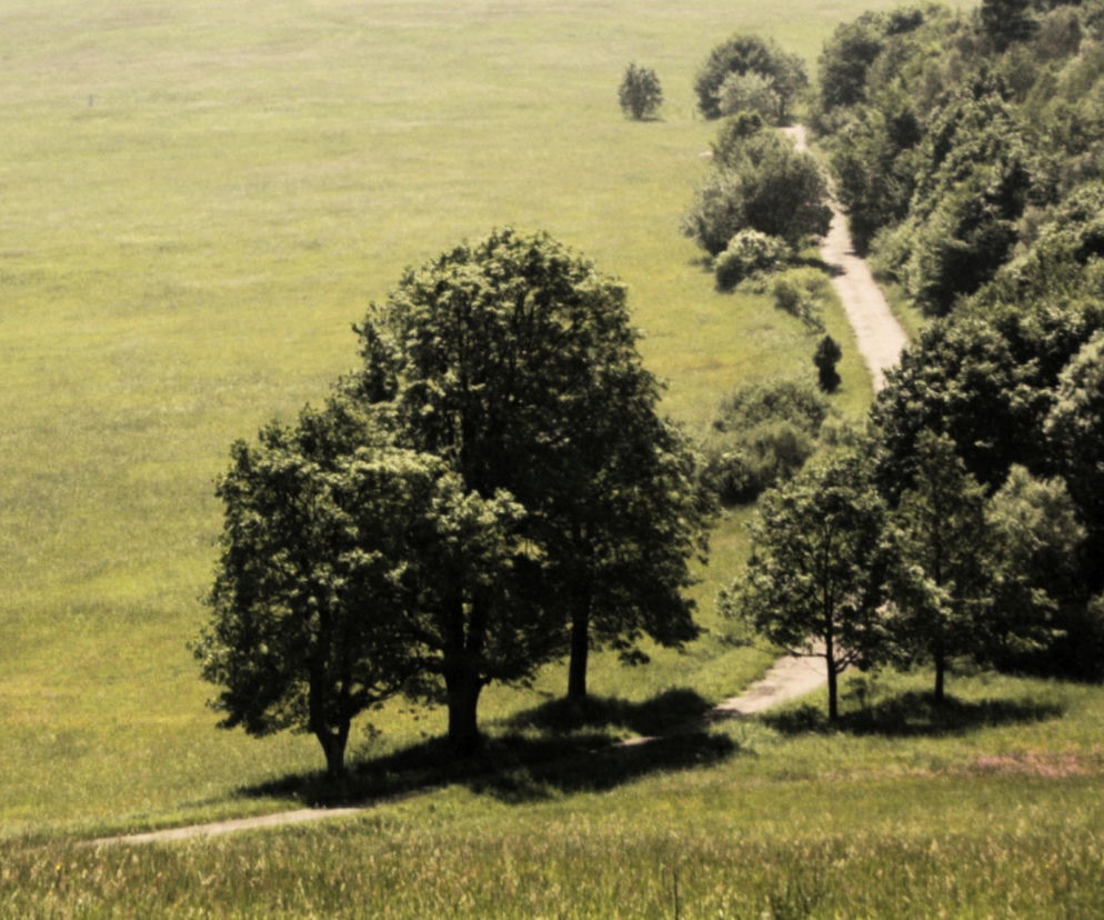 Magurski Park Narodowy
