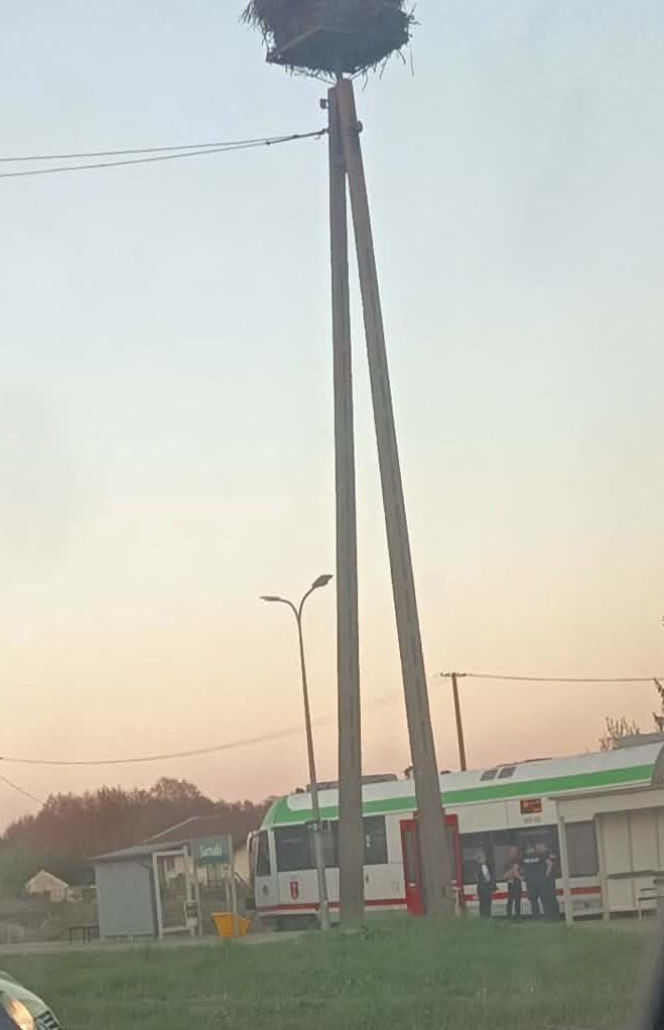 Policja interweniowała w pociągu