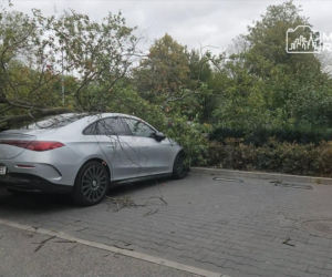 Potworne skutki wichury w Warszawie