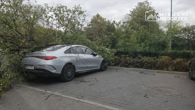 Potworne skutki wichury w Warszawie