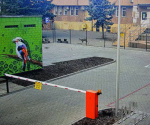 Białystok. Sarenka biegała po centrum miasta. Nagrała ją kamera Centrum Atywności Społecznej [ZDJĘCIA]