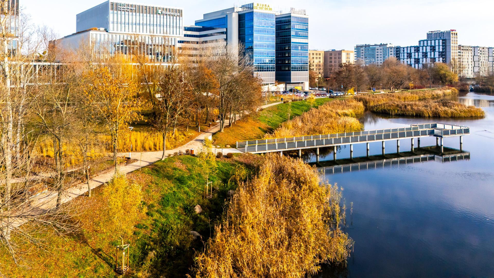 Pętla tramwajowa Wyścigi w Warszawie i okolice