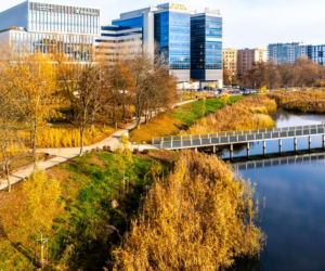 Pętla tramwajowa Wyścigi w Warszawie i okolice