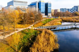 Pętla tramwajowa Wyścigi w Warszawie i okolice