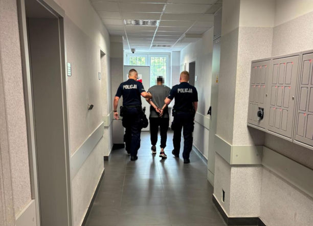 Tajemnicza seria pożarów w Warszawie. Śledczy wpadli na trop 22-latka