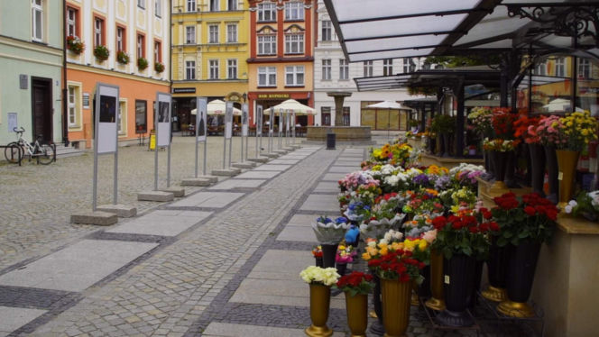 To najbardziej kolorowe miasteczko Dolnego Śląska. Turyści są zachwyceni