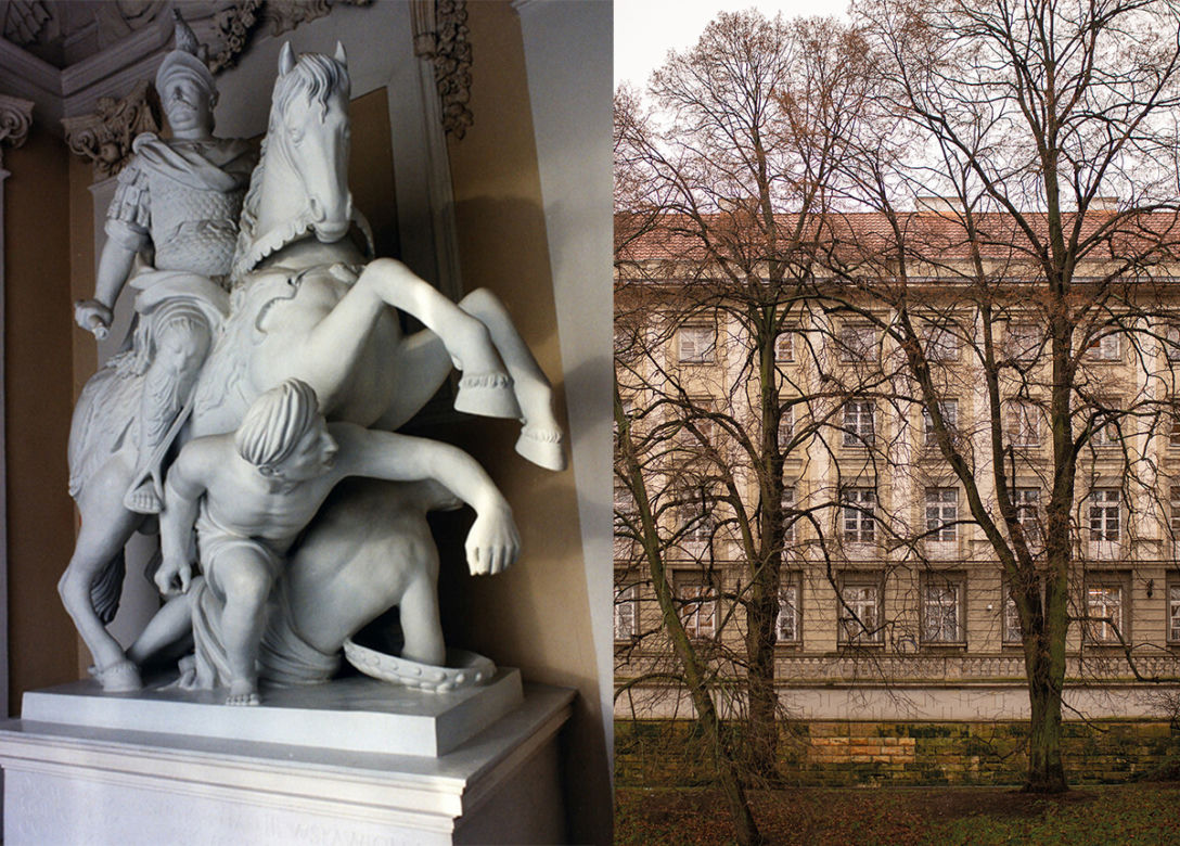 NIEZWYKŁE HISTORIE DRZEW W WARSZAWIE. Przewodnik