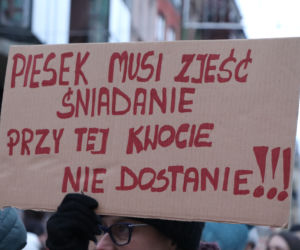 Oni mówią głosem zwierząt! Tak wygladał marsz w obronie zwierząt z Toruńskiego Schroniska [GALERIA, AUDIO]