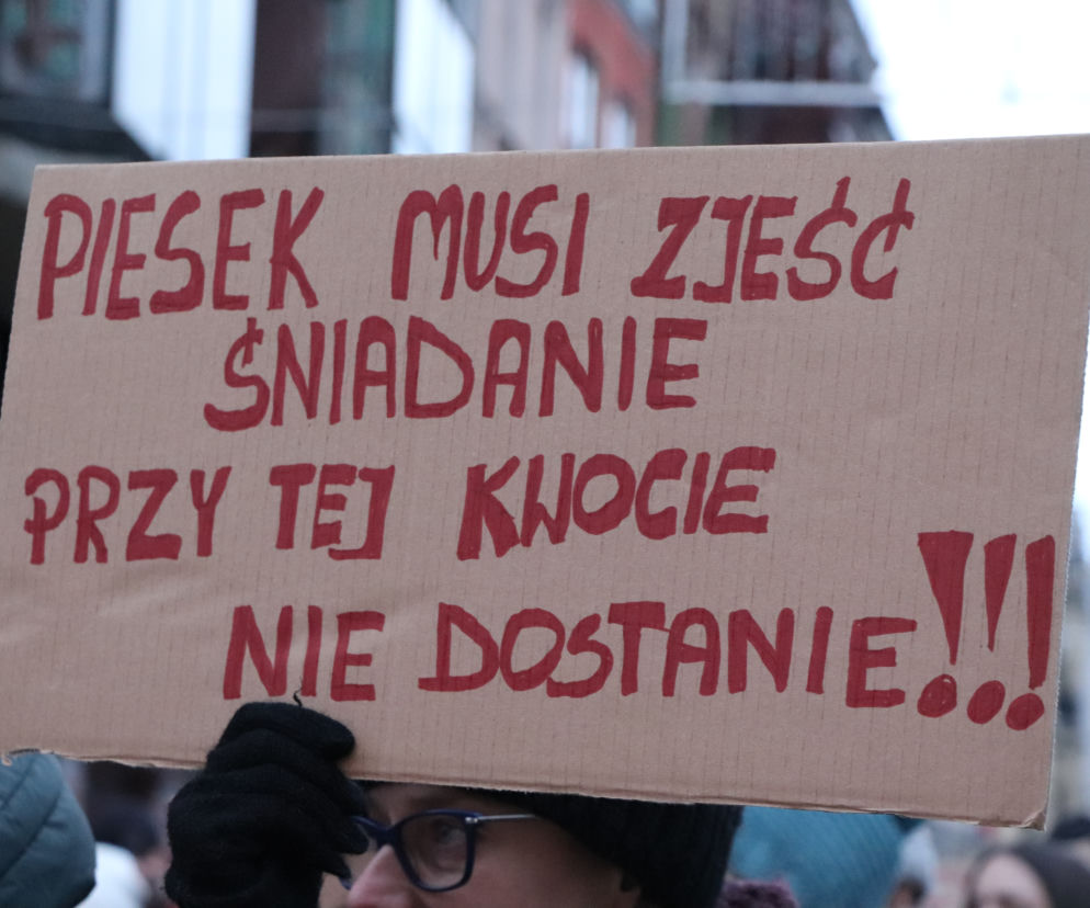 Oni mówią głosem zwierząt! Tak wygladał marsz w obronie zwierząt z Toruńskiego Schroniska [GALERIA, AUDIO]