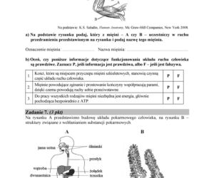 Matura 2018 z biologii. Poziom podstawowy - arkusze CKE