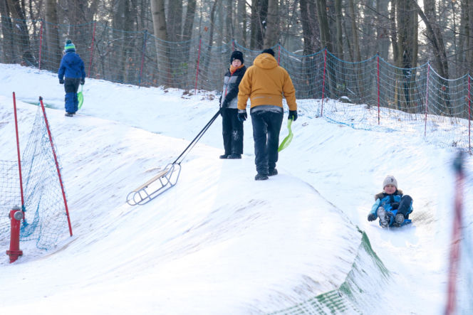To najlepsza zimowa, darmowa atrakcja w Katowicach. Tłumy na torze saneczkowym