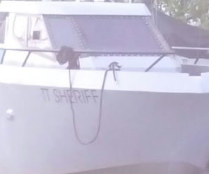 Tak nazywają się jachty i łodzie w gdyńskiej marinie