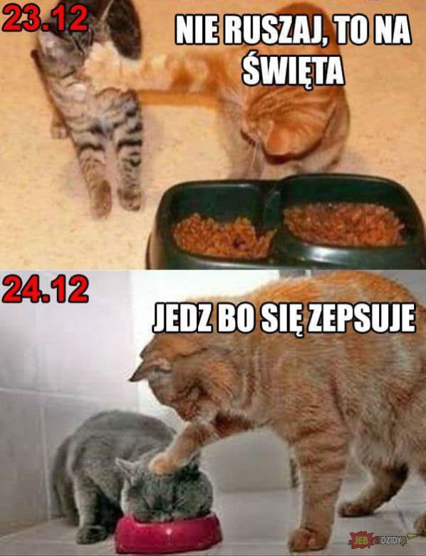Świąteczne memy 2023