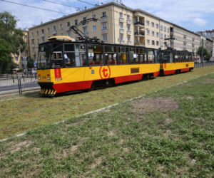 Torowisko na Grochowskiej w końcu pokrył rozchodnik