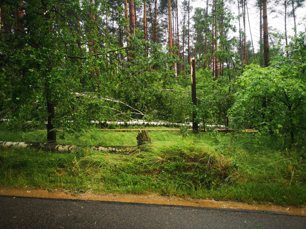 Burze, ulewy i wichury w Śląskiem. Interwencje straży pożarnej [ZDJĘCIA, 24.06.2021]